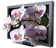 get-3D.TV :: 42" display